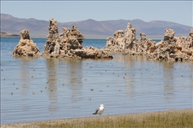 Mono Lake